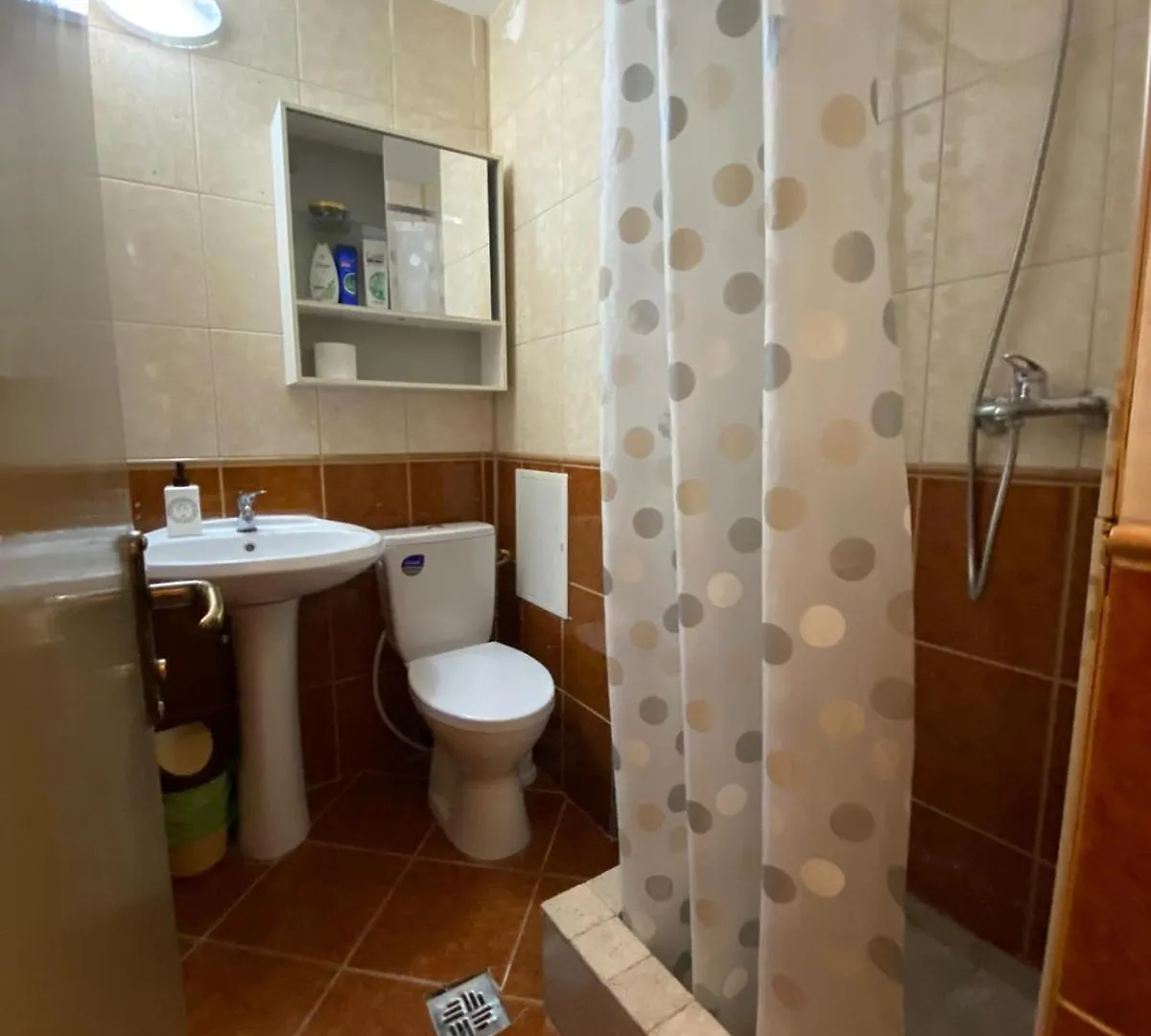 Lions Studio Dristor Apartment Bucharest