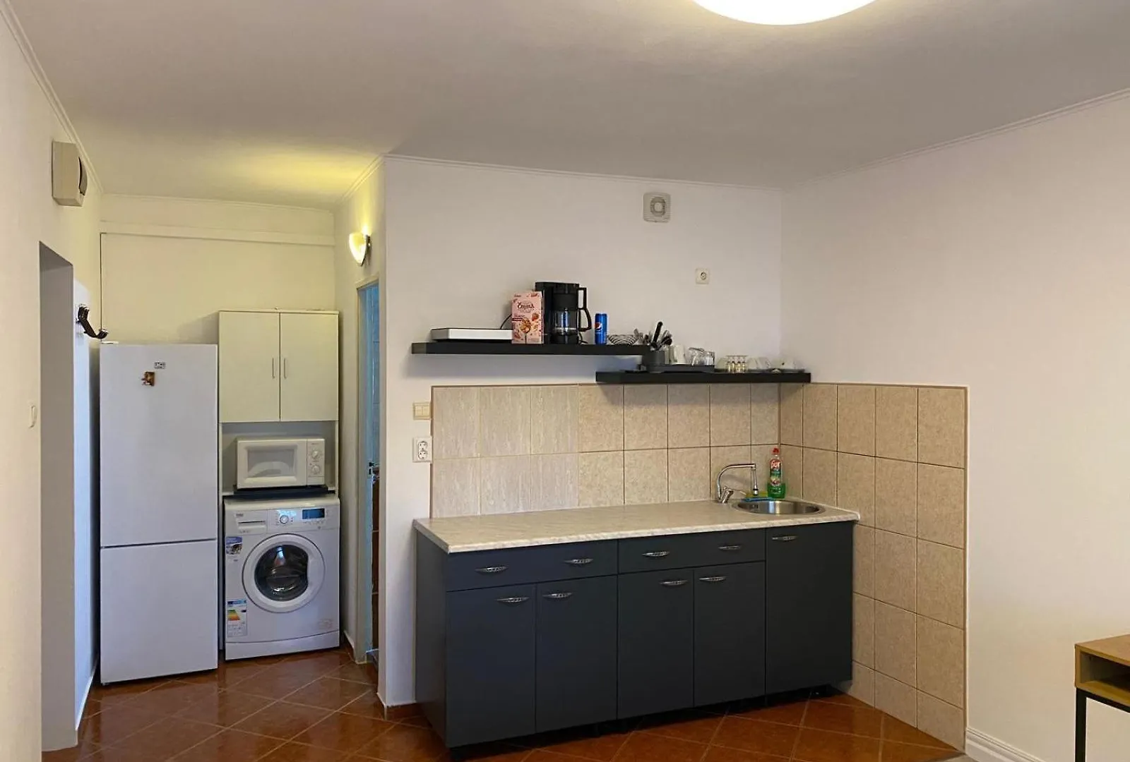 Lions Studio Dristor Apartment Bucharest Romania